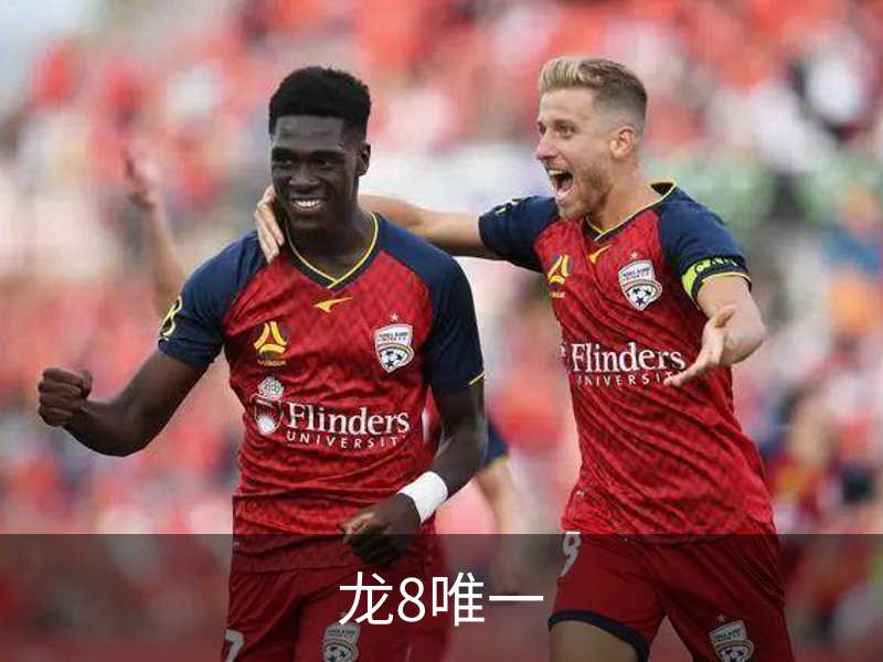 龙8唯一品牌故事